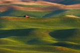 Red Barn Poster och Canvastavla