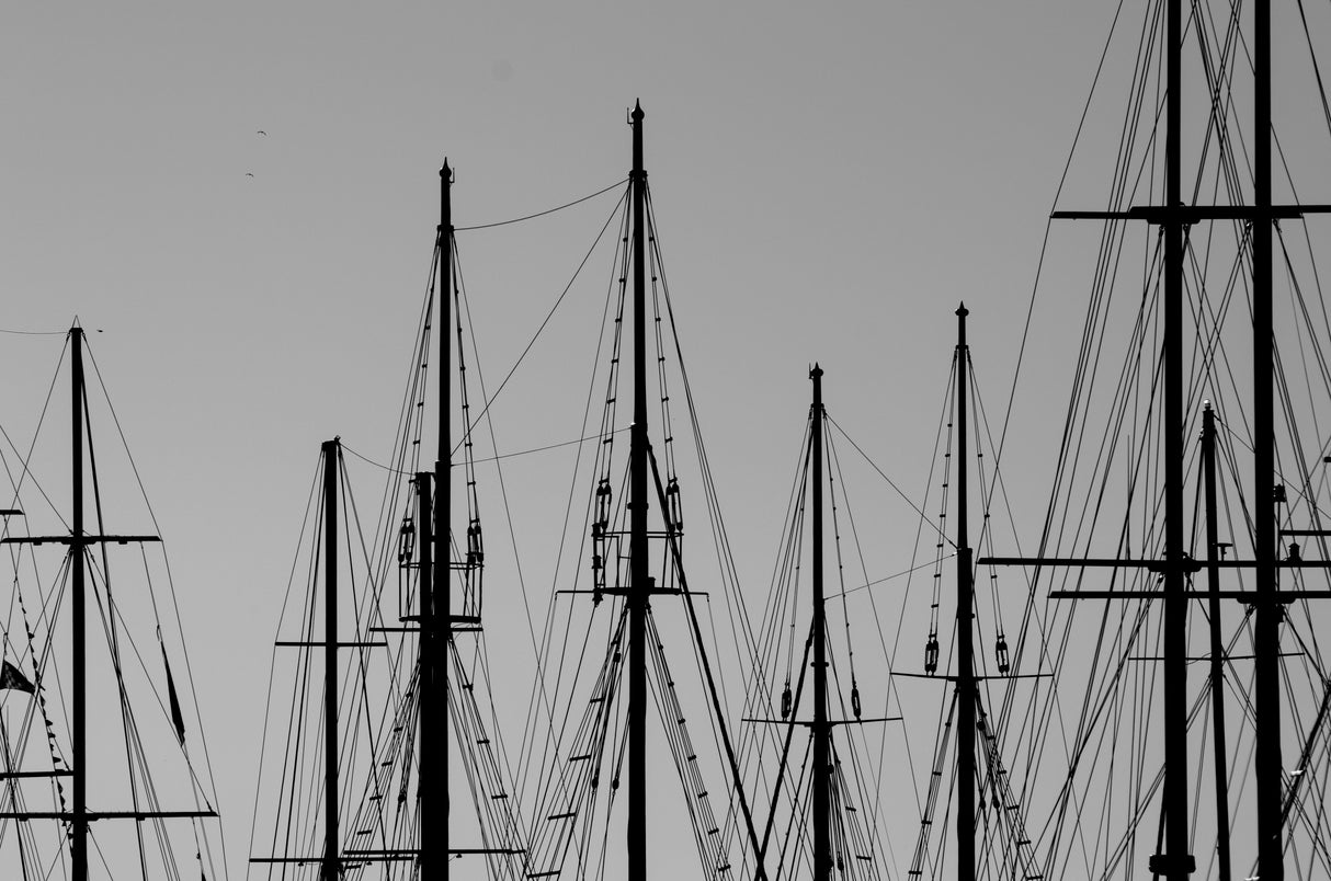Masts Poster och Canvastavla
