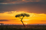 Sunrise Poster och Canvastavla