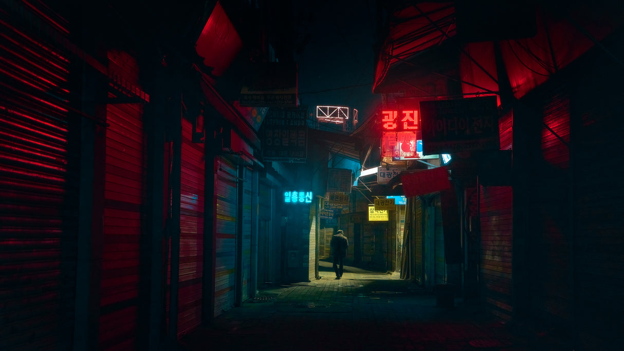 Seoul from Shadows Poster och Canvastavla