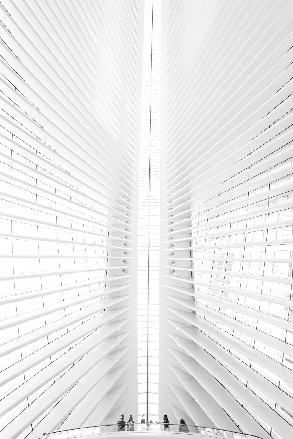 Calatrava Vision Poster och Canvastavla