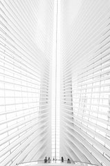 Calatrava Vision Poster och Canvastavla