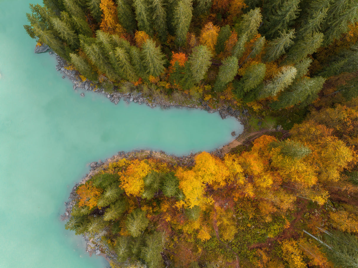 Autumn colors Poster och Canvastavla