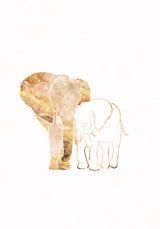White Gold Elephants 2 Poster och Canvastavla
