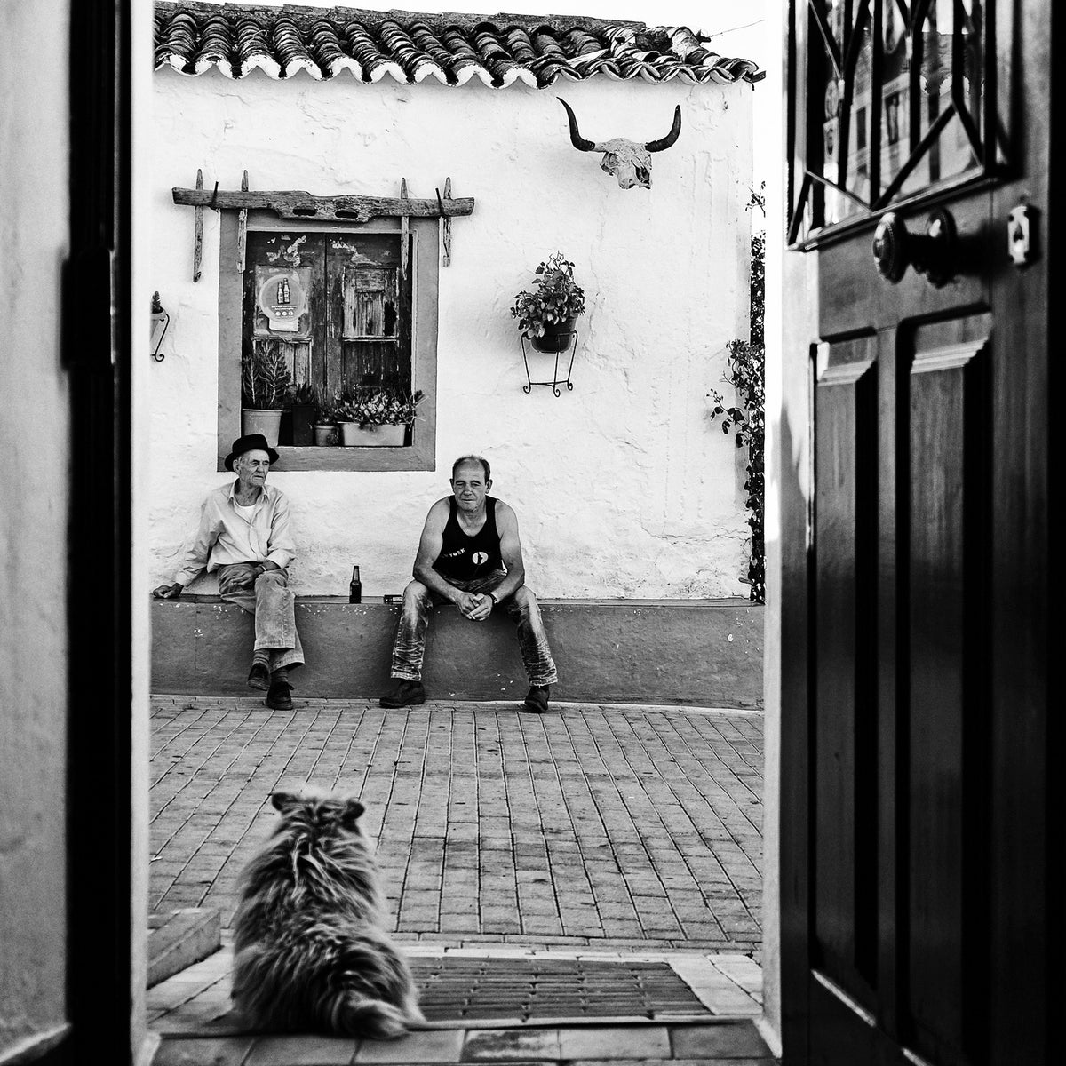 alentejo stories Poster och Canvastavla