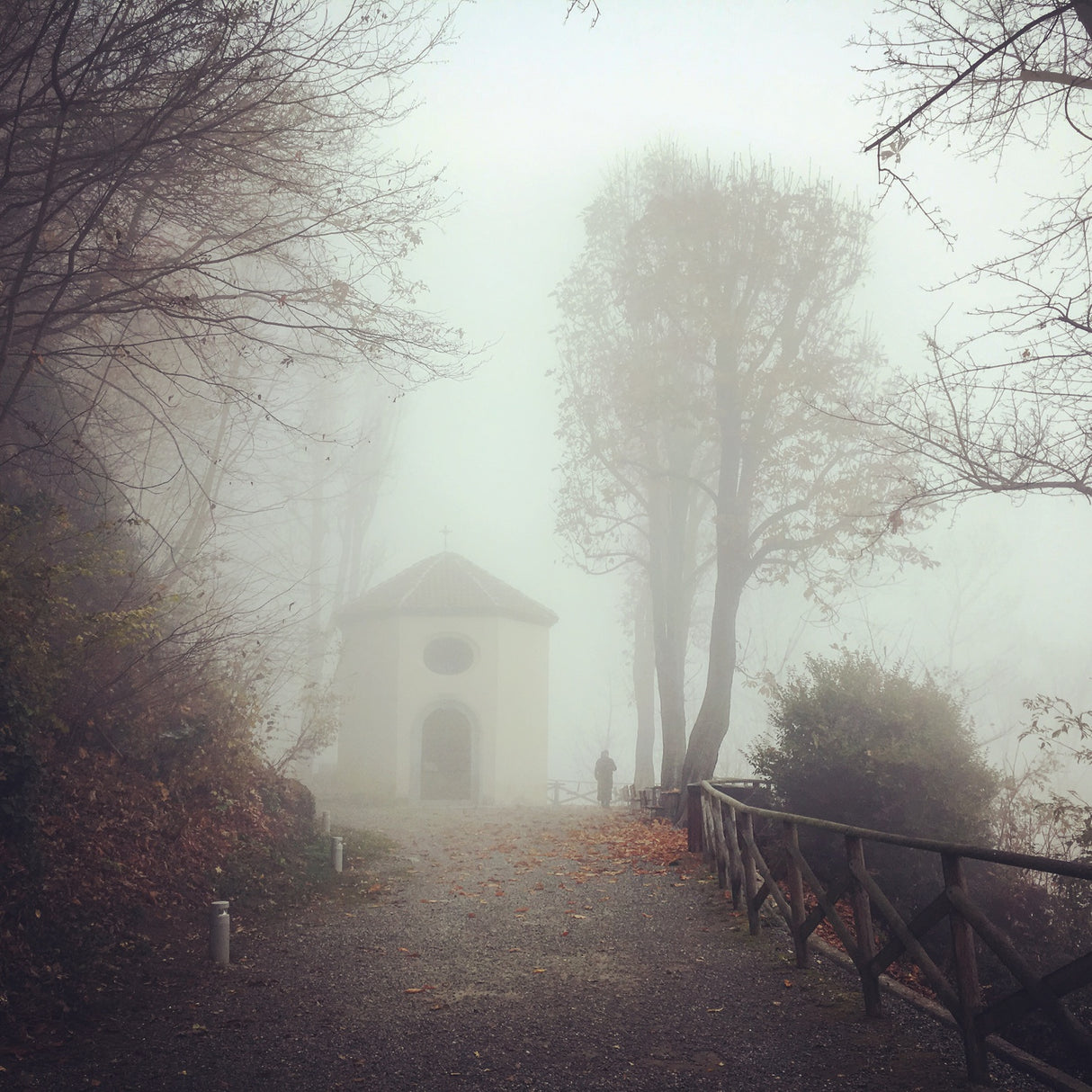 A foggy day in Piemonte Poster och Canvastavla