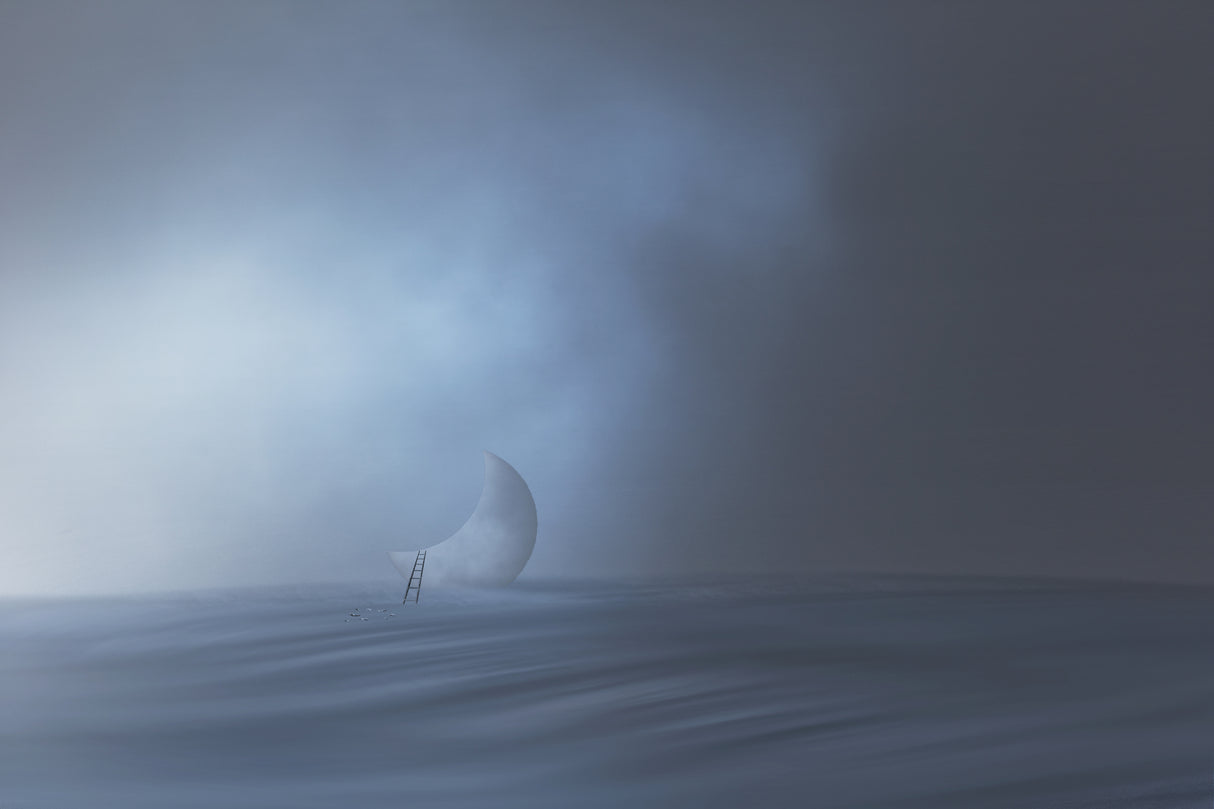 the journey Poster och Canvastavla