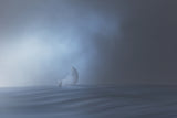 the journey Poster och Canvastavla