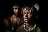 Papuan adornment Poster och Canvastavla