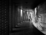 Between columns Poster och Canvastavla
