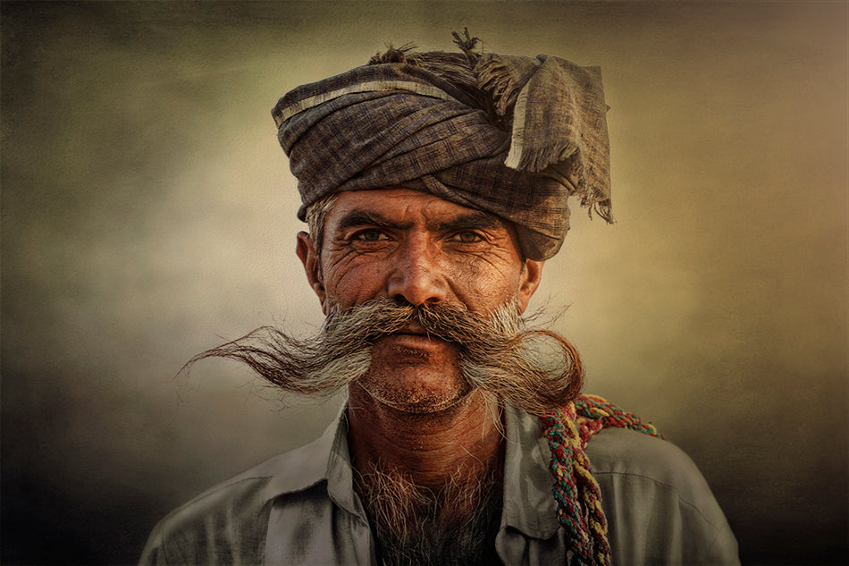 Rajasthani man Poster och Canvastavla