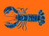 Lobster On Orange Poster och Canvastavla