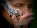 Take my hand. Poster och Canvastavla