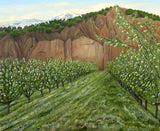 Quince Trees Poster och Canvastavla