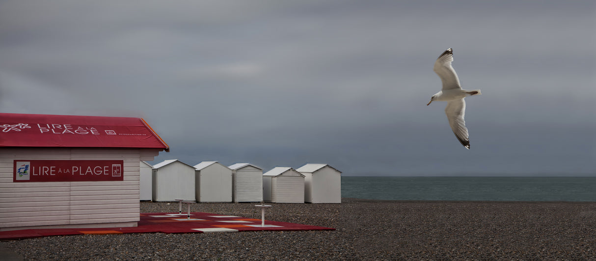 'Lire à la Plage" - Picking up his newspaper ;-) Poster och Canvastavla