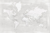 Detailed world map with cities, Maeli neutral Poster och Canvastavla