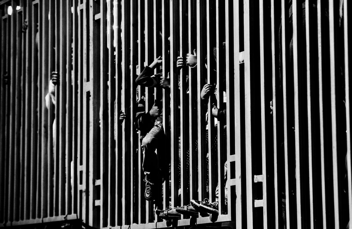 Children holding the fence Poster och Canvastavla