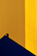 Industry sun Poster och Canvastavla