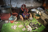 Fish market at Kumartuli, Kolkata Poster och Canvastavla