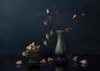 Fall lantern Poster och Canvastavla