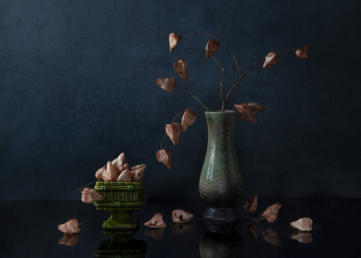 Fall lantern Poster och Canvastavla
