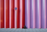 No Parking Poster och Canvastavla
