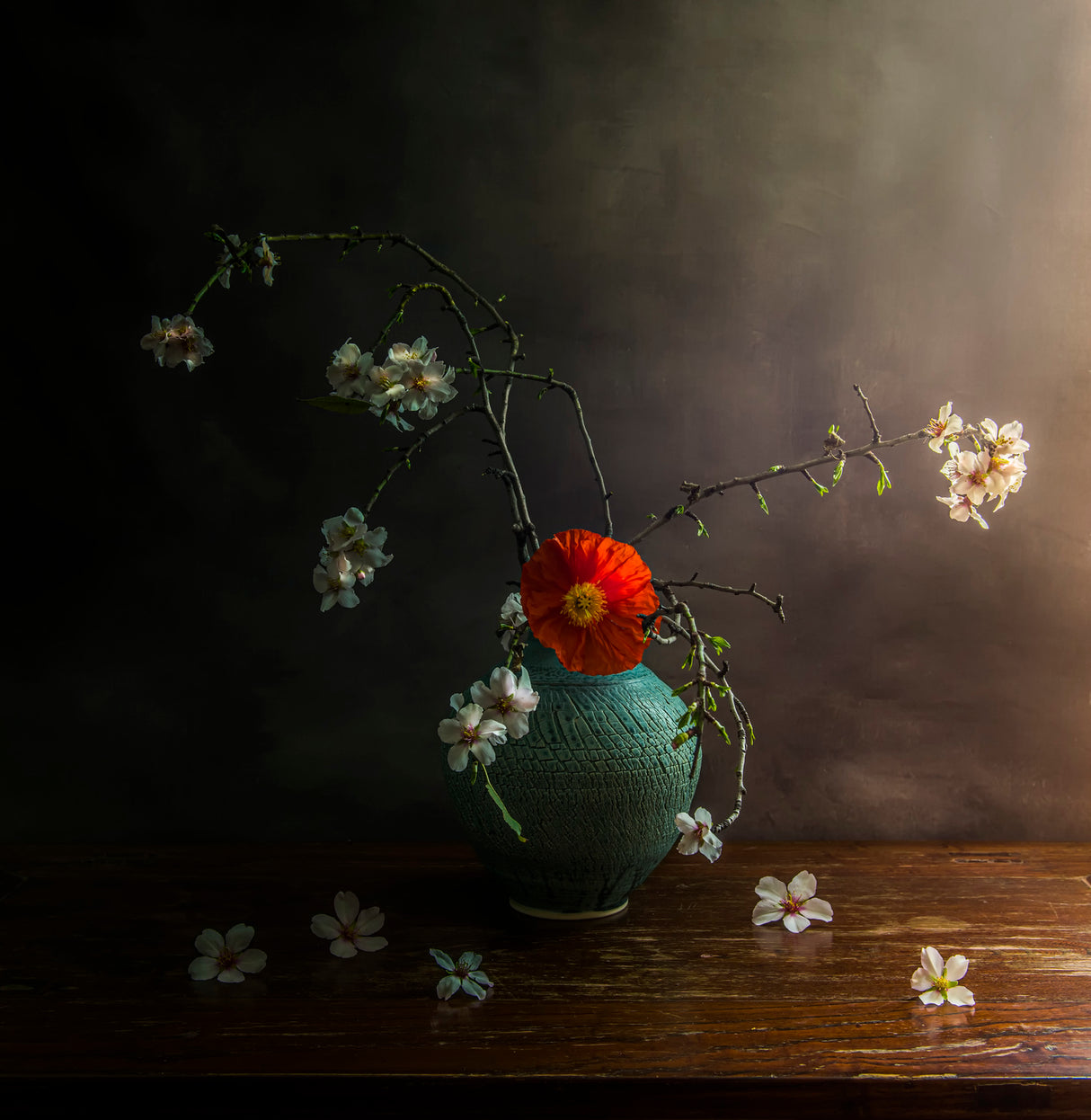Spring is here Poster och Canvastavla