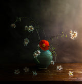 Spring is here Poster och Canvastavla