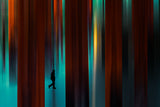 untitled - series of other spaces Poster och Canvastavla