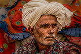 the Camel Man Poster och Canvastavla