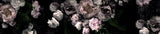 Hl001  Black Roses 4806mm X 3000mm Poster och Canvastavla