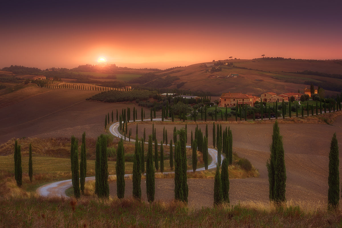Tuscany Poster och Canvastavla