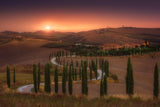 Tuscany Poster och Canvastavla