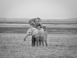 Playing Kids Poster och Canvastavla