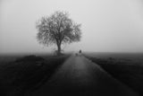 Lonley Walk Poster och Canvastavla