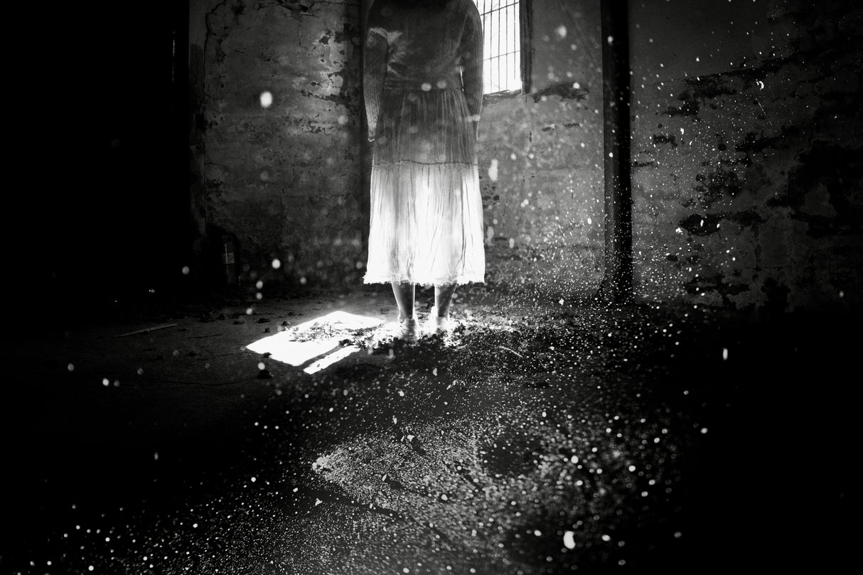Butterflies don't remember yesterday. Poster och Canvastavla