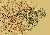 Cheetah Full Sprint Poster och Canvastavla