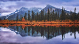 Fall colors in Banff Poster och Canvastavla