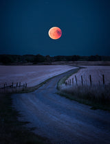 Bloodmoon 2018 Poster och Canvastavla
