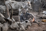 A scene of a Mundari cattle camp-II - South Sudan Poster och Canvastavla