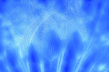 The dance of achenes... Poster och Canvastavla