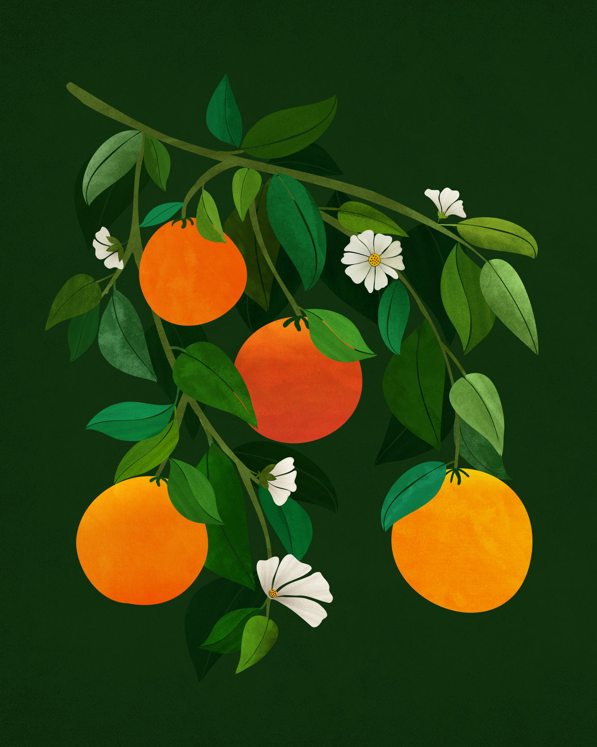 Oranges and Blossoms Night Poster och Canvastavla