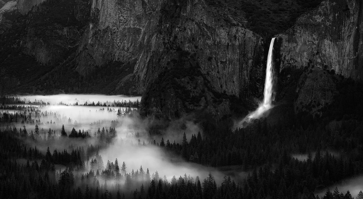 Yosemite Spring Poster och Canvastavla