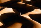 The Desert Walk Poster och Canvastavla