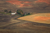 The farmhouse in the morning light Poster och Canvastavla