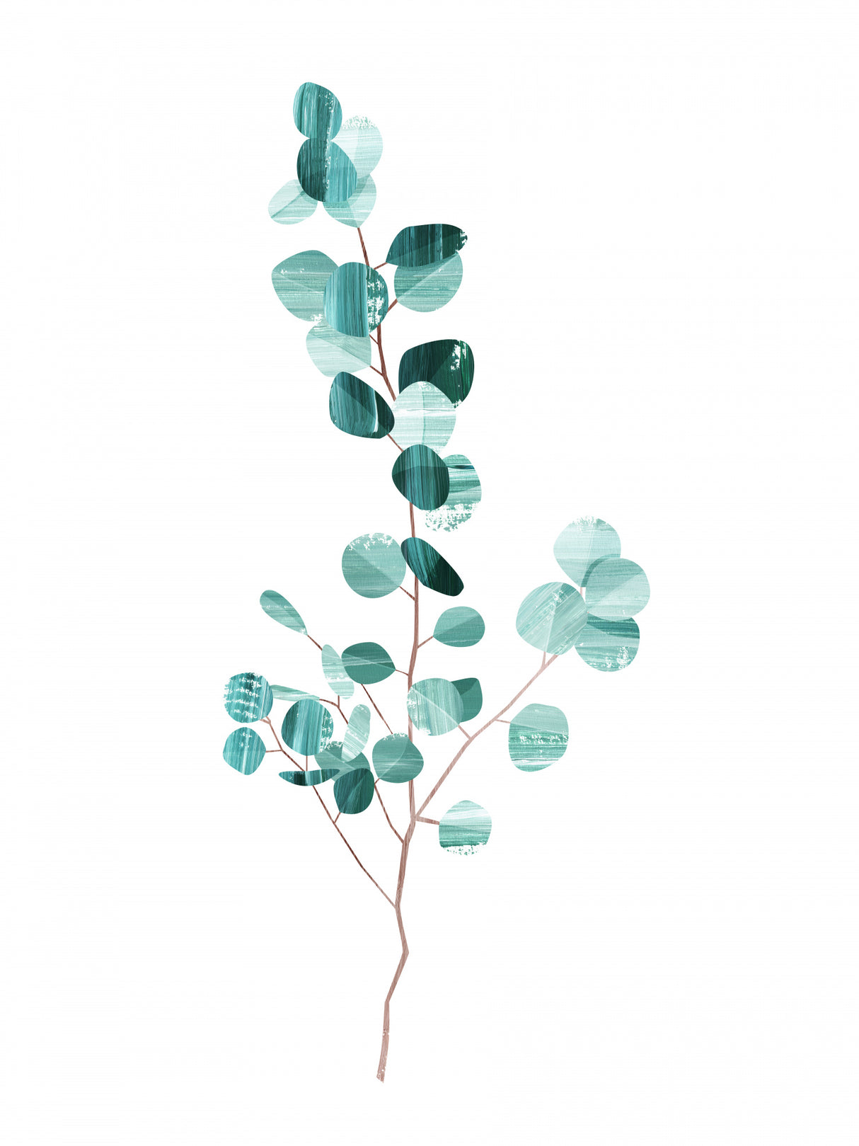 Eucalyptus Poster och Canvastavla