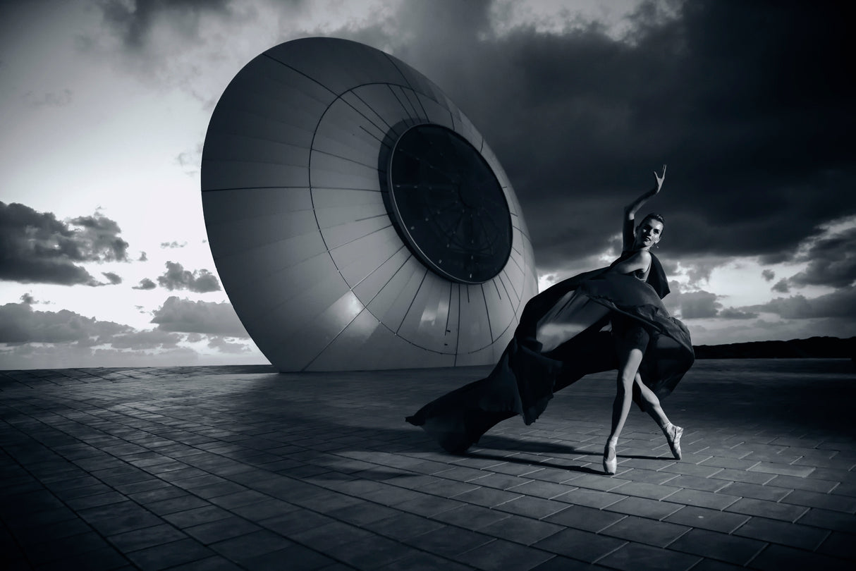The dancer Poster och Canvastavla
