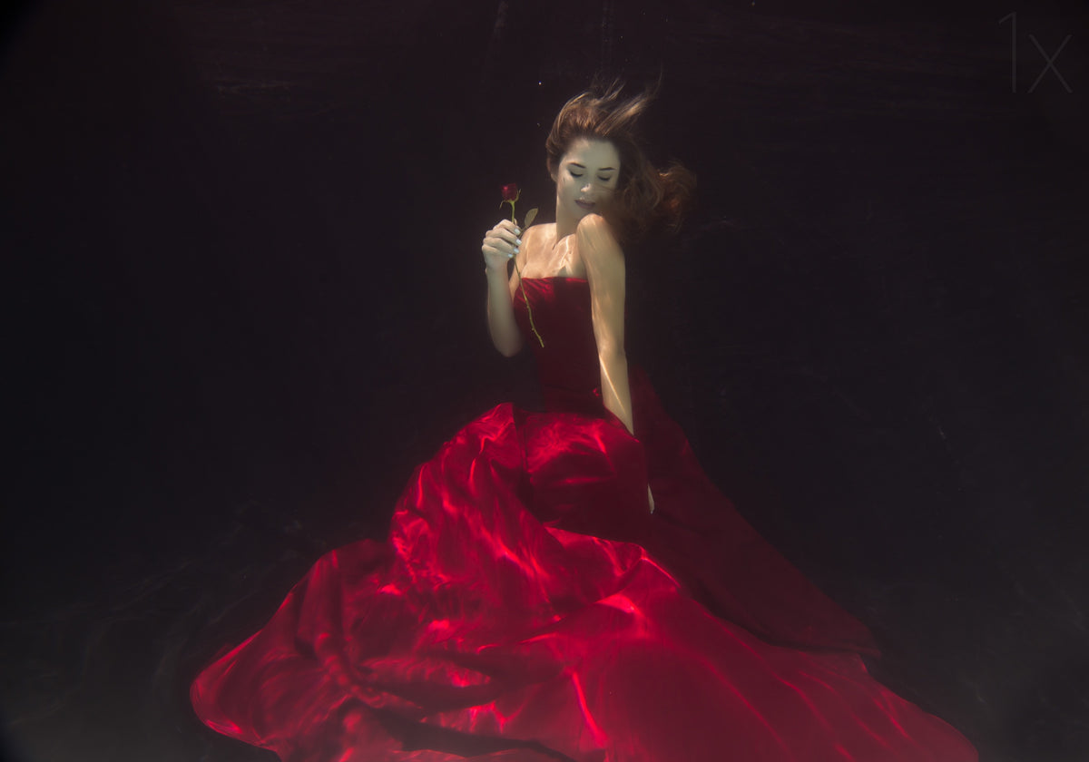 Red Queen Poster och Canvastavla