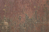 Rust 27 Poster och Canvastavla