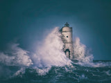 The Lighthouse Mangiabarche Poster och Canvastavla